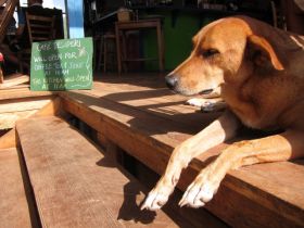 Cafe on Corn Island, Nicaragua – Best Places In The World To Retire – International Living